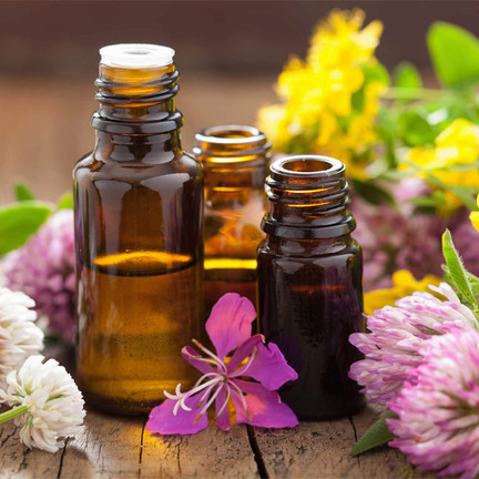 راهنمای جامع خرید اینترنتی روغنهای گیاهی: چگونه روغن اصل و مناسب نیازمان را تشخیص دهیم؟