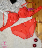 ست سوتین و شورت هارنس