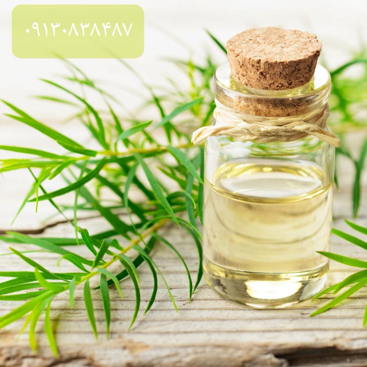 روغن درخت چای درجه یک 120 سی سی