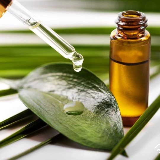 روغن درخت چای درجه یک