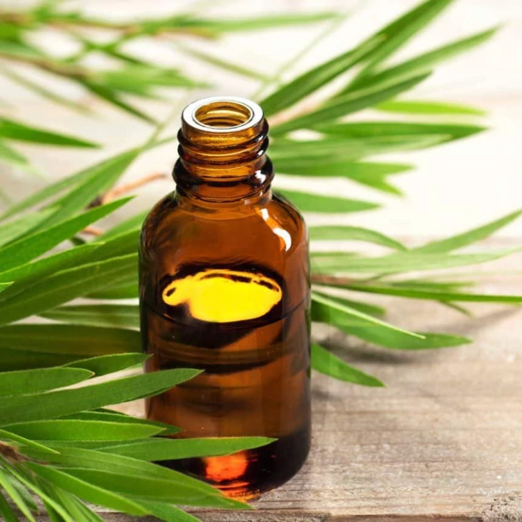 روغن درخت چای درجه یک 120 سی سی