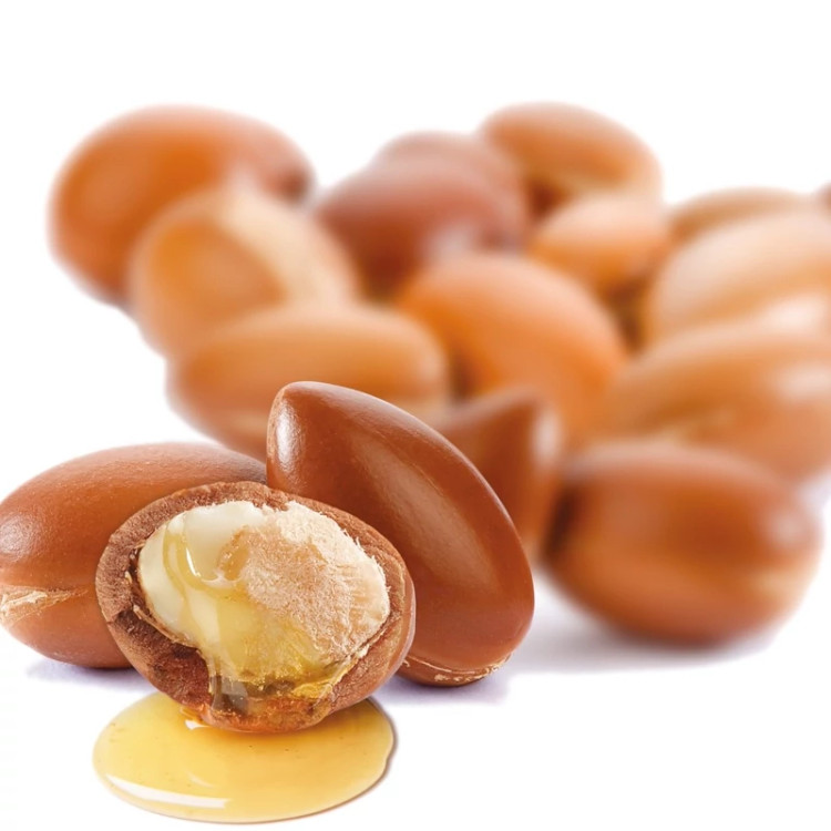 تولید روغن آرگان خالص از مغز دانههای ارگانیک