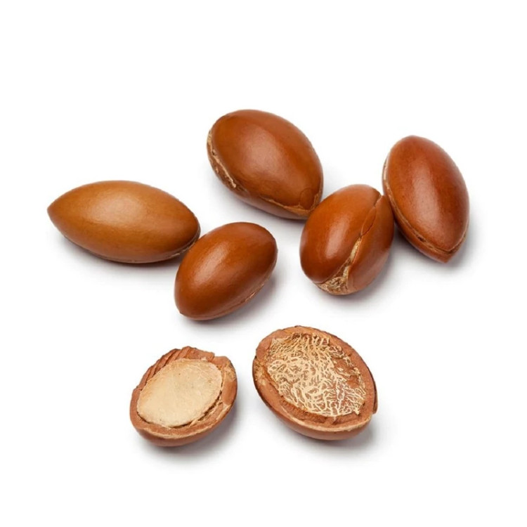 تشخیص روغن آرگان اصل از روی دانه و غلظت