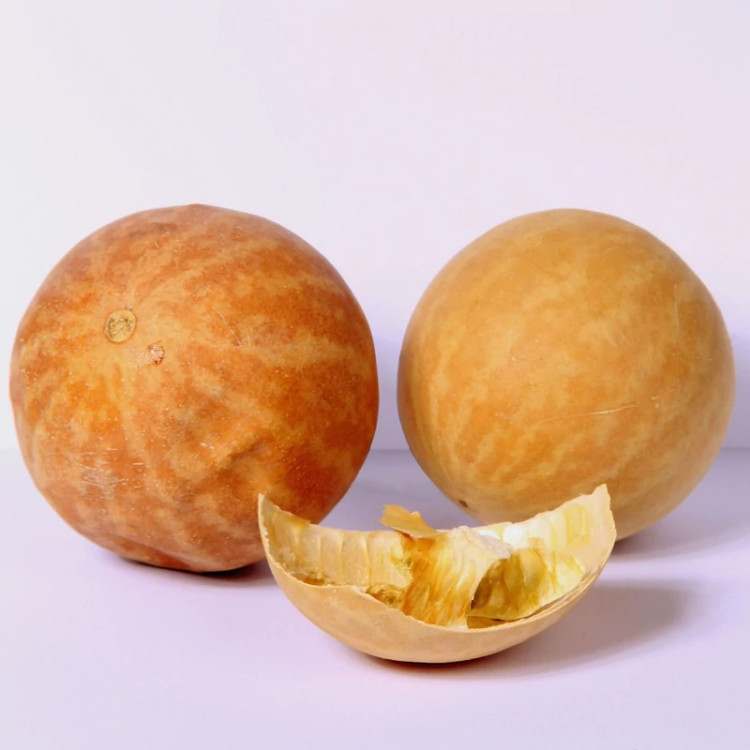 روغن حنظل قانون روغن هندوانه ابوجهل 30 میلی لیتر خالص