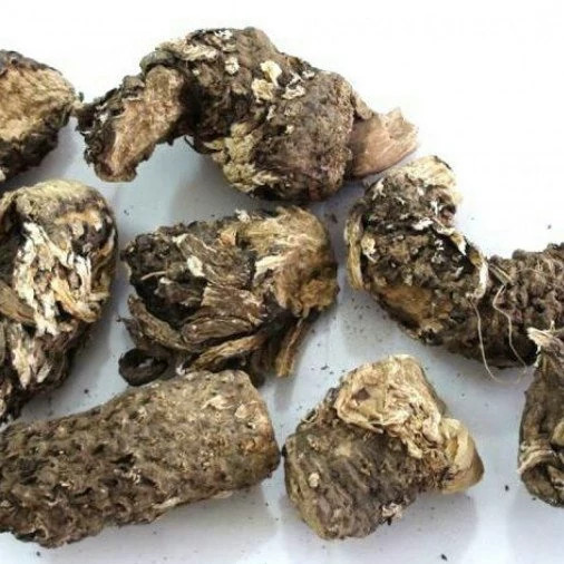 روغن کندش قانون 30 میلی لیتری کندوش